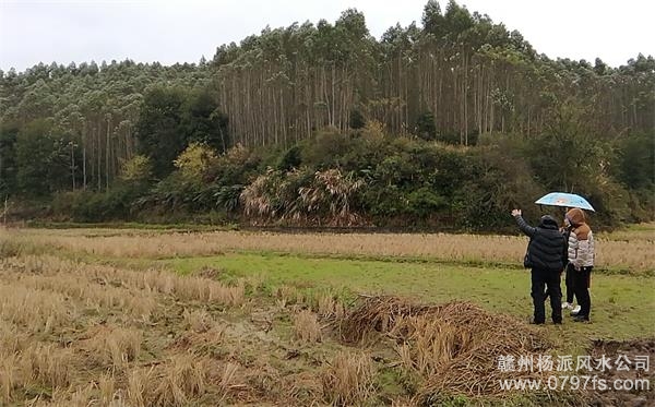 安庆市陈老师带着爱徒寻龙点穴